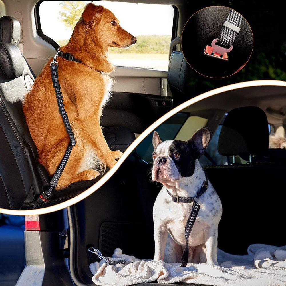 Dog Seat Belt Leash