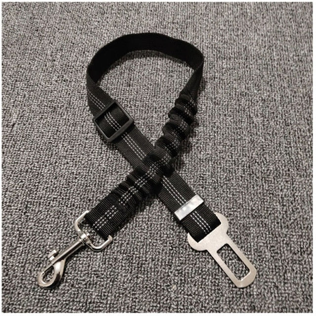 Dog Seat Belt Leash