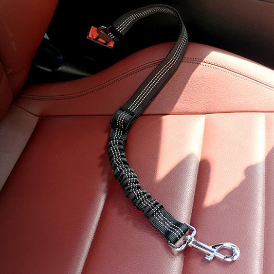 Dog Seat Belt Leash